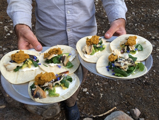 Brook Trout and Wildflower Tacos