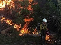 Wildland firefighting. Photo by Kyle Clendenen, BLM. 