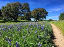 Fort Ord National Monument. Photo by  Laura Nicola, BLM.