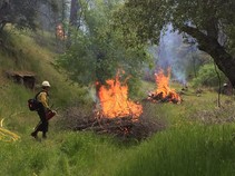 2019 Rx burn on public lands.  Photo by Steve Watkins, BLM.