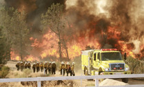 Wildland firefighters. Photo by BLM.