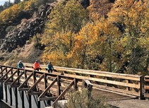 Mountain bike riders on recreation trail