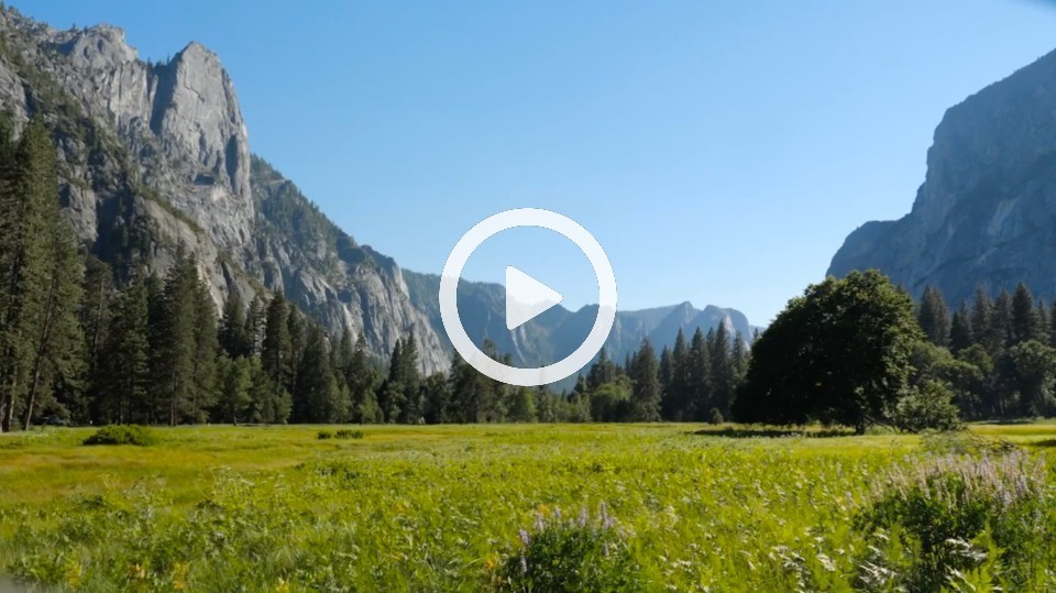 Yosemite National Park