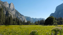 A photo of Yosemite National Park