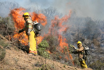 Firefighters battling fires.