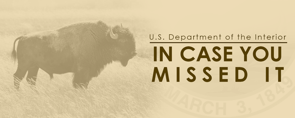 In Case You Missed It