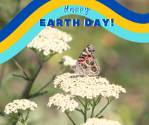 A photo of a butterfly on a flower with the words happy earth day.