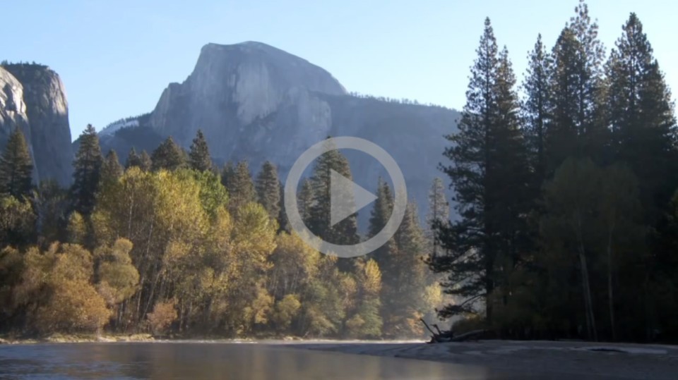 At Yosemite National Park, a river runs in front of a line of trees with a tall gray, round-tip mountain in the background.