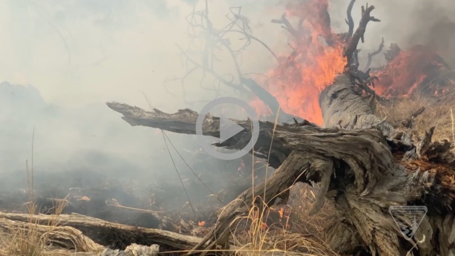 Fire burns on a grassy field and scattered fallen trees.