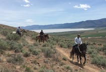 Horseback riders on a trail.