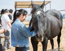 Woman petting a horse