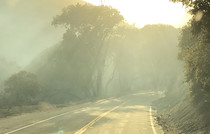 Smokey air over a road
