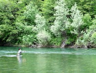 A man fly fishing in a river.