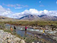 People walking across a slow moving creek with mountain range in the background.