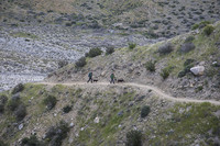 Two hikers and their dogs on a trail.