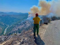 Firefighter standing on a ridge looking into a canyon.