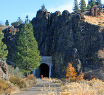 An old railroad tunnel with a bike path through it.