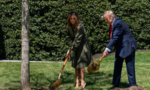 President Trump and Melania digging a hole.