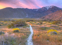 A small trail through a field of grass and brush heading towards a mountain range during a pretty sunset.