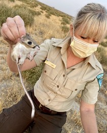 A woman in uniform holding a rat.