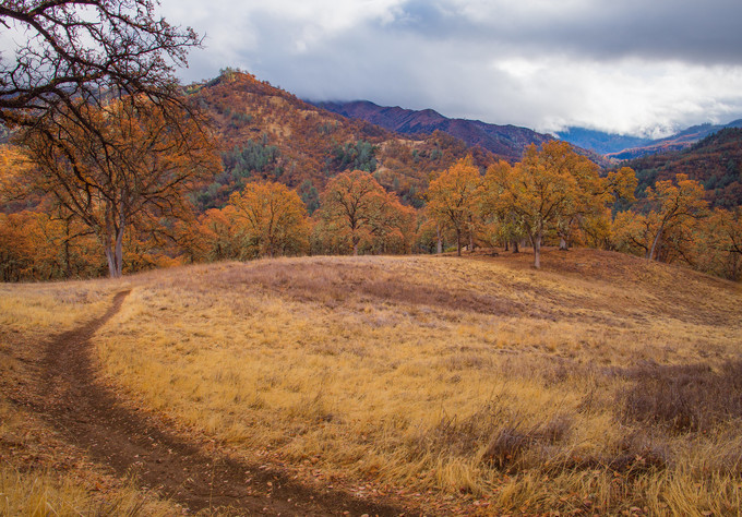A fall landscape with a trail and mountains in the background.