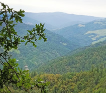 A green lush mountainous valley.