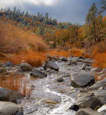 A small river with fall foliage along the rivers edge.