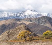 A tall mountain range with snow caps and dry brush on lower mountains.