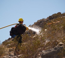A firefighter holding a hose spraying water on a mountainside.