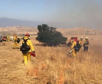 Firefighters standing in dry grasses conducting a prescribed burn.
