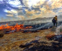 A firefighter working in a field that is burning.