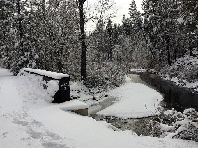A snow-covered bridge over a small river in a forest.