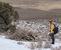 A firefighter standing next to a pile of brush in a snowy landscape.