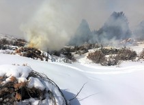 Several piles of brush burning in the snow.