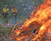 Two firefighters stand by a pile burning.