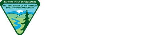 DOI Mineral and Land Records System