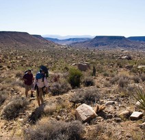 People hiking in the desert