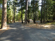 A road through a developed campground in a forest.