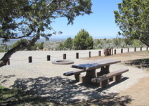 A picnic table in a campground surrounded by trees.
