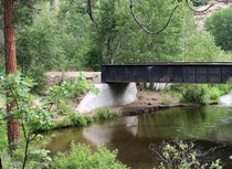 A bridge over a river in a forest.