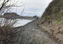 A sandy trail on the beach with people walking down it.