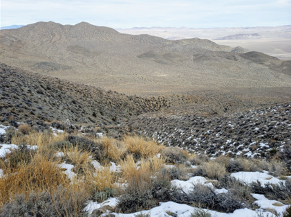 A dry, snowy mountain landscape with small shrubs.