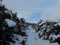 A snow-covered trail up a mountain.
