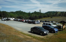 A full parking lot in a field surrounded by trees.