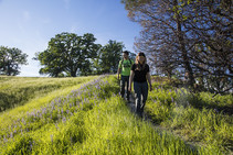 Two hikers on a trail through a grassy field.