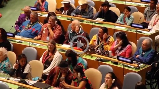 People from all different nations sit in seats at the United Nations