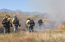 Firefighters performing a  prescribed burn at Lake Matthews Reserve