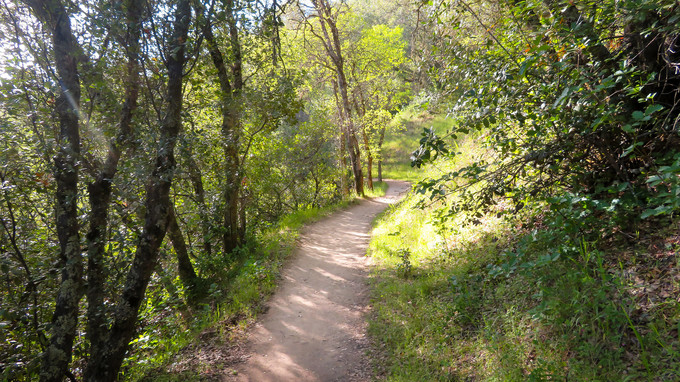 A trail in Magnolia Ranch.