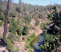 View overlooking a small section of Clear Creek, a tributary of the Sacramento River. 