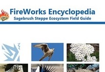 FireWorks Encyclopedia: Sagebrush Steppe Ecosystem graphic featuring pictures of a raptor, flower, badger, sage grouse, rattlesnake, tree and coyote